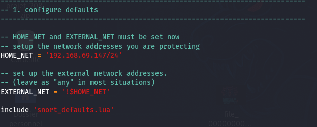 Exemple de configuration de Snort.lua