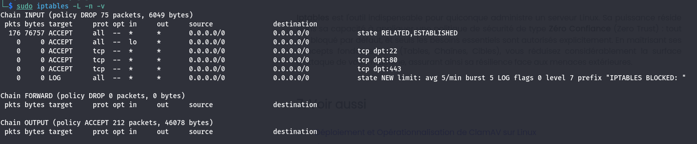 Capture d'écran de la sortie de iptables -L -n -v avec les politiques DROP et les règles de filtrage