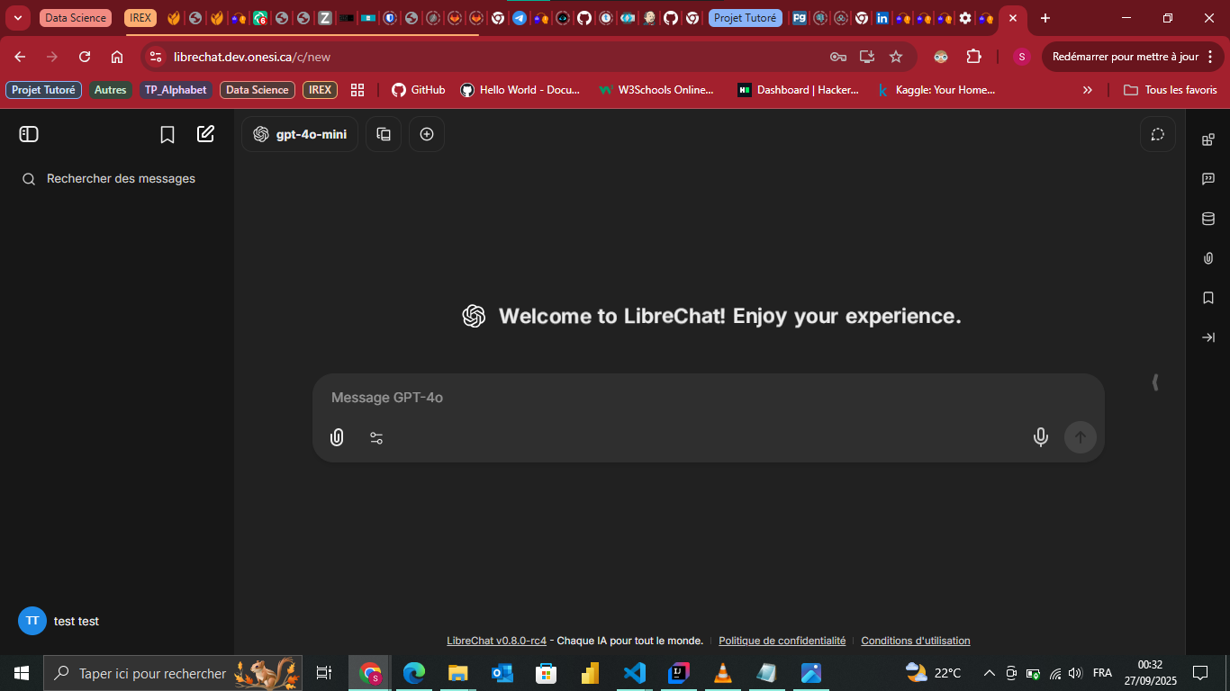 Interface de LibreChat après succès de la connexion OpenID